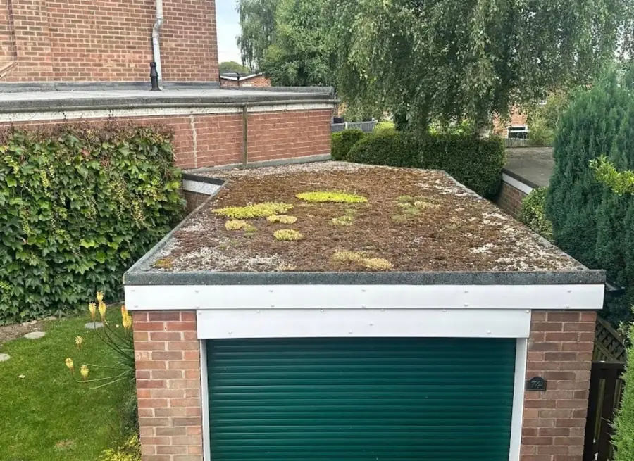 Before: garage flat roof covered in moss and failing felt